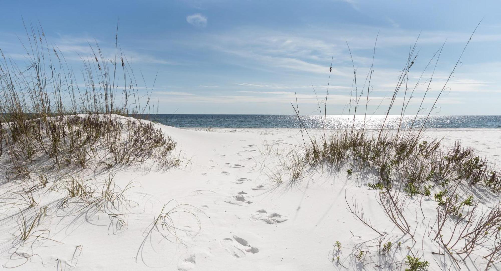 Nautilus 2408 Gulf View 2 Bedroom 4Th Floor Free Beach Service Fort Walton Beach Exterior photo