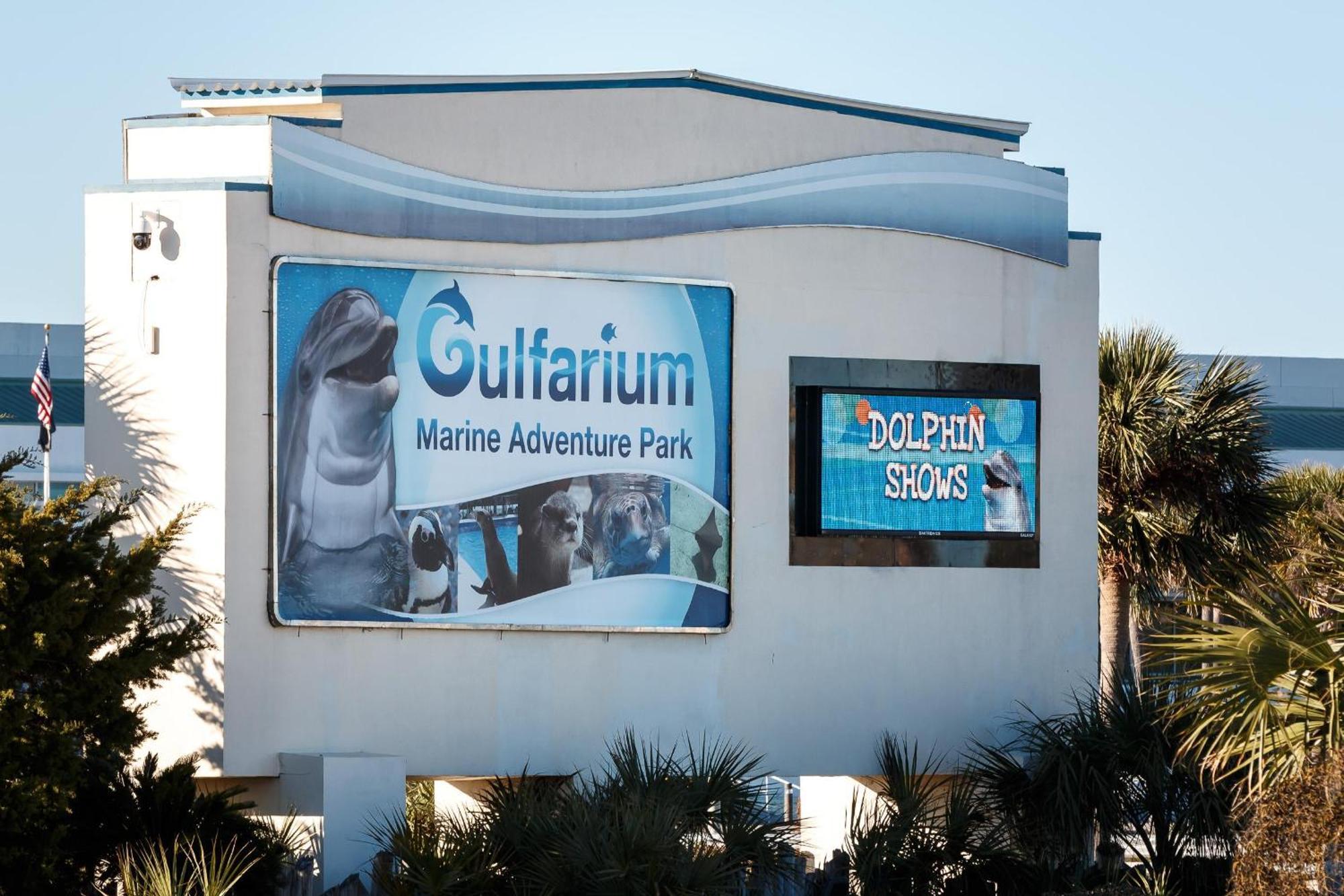Nautilus 2408 Gulf View 2 Bedroom 4Th Floor Free Beach Service Fort Walton Beach Exterior photo